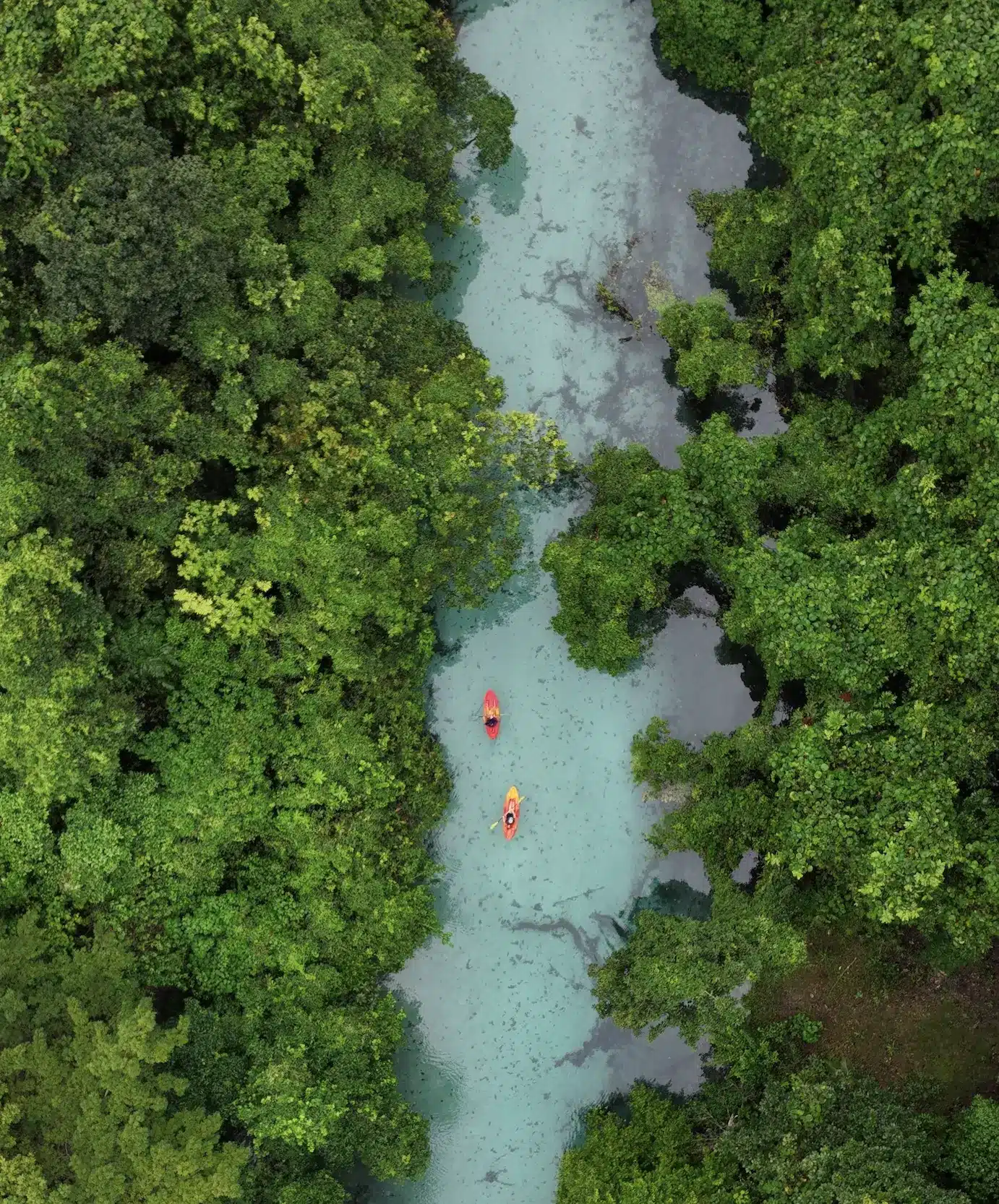 ESPIRITU SANTO Island in Vanuatu.